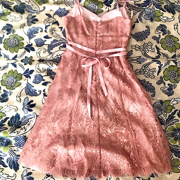 AnnTaylor Rosé Gold Lace Dance Party Champagne Cocktail Dress - Picture 3 of 13